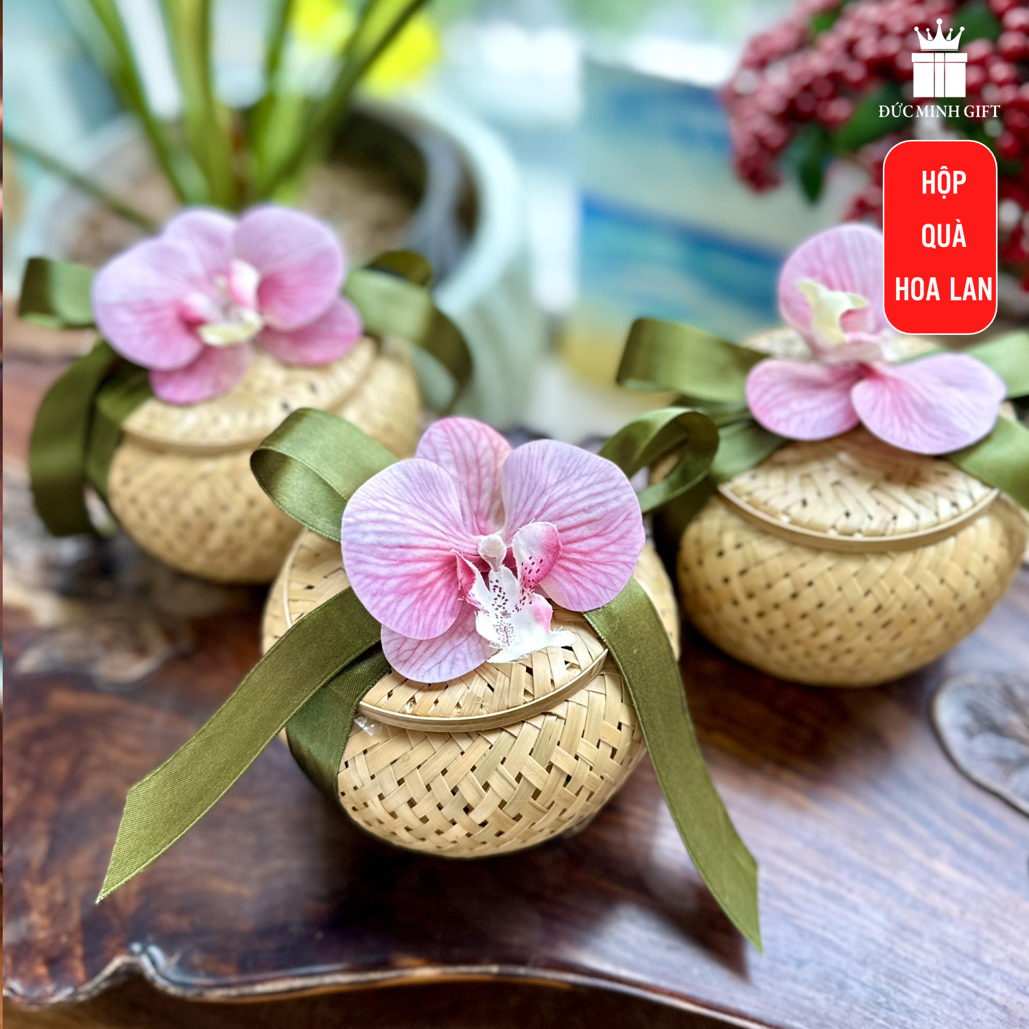 Hộp quà hoa lan